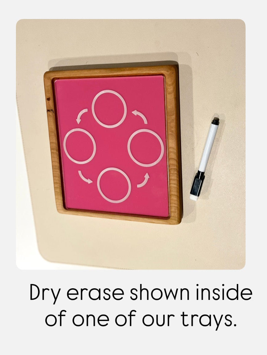 4 Part Cycle Sequencing Graphic Organizer CLEAR Dry Erase Acrylic Tracing Board; can also fit as a Flisat Insert