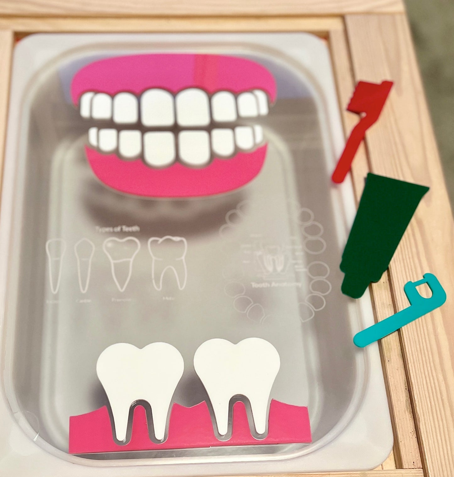 Dentist / Dental Educational Board / Dry Erase Flisat Insert with Pieces and Toothbrush