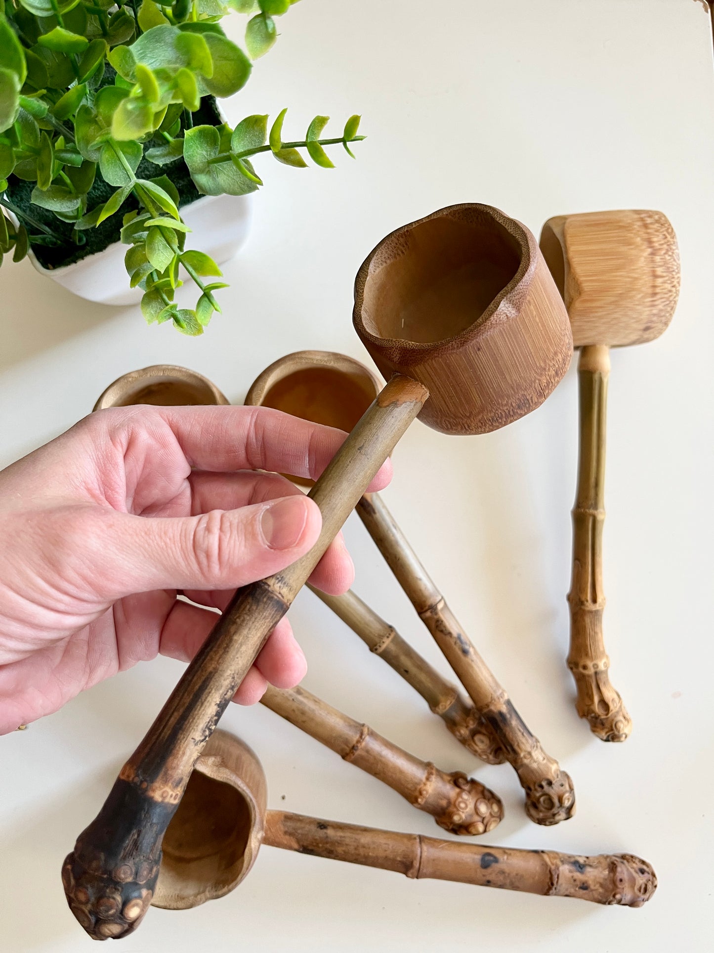 Sensory Scoop / Ladel