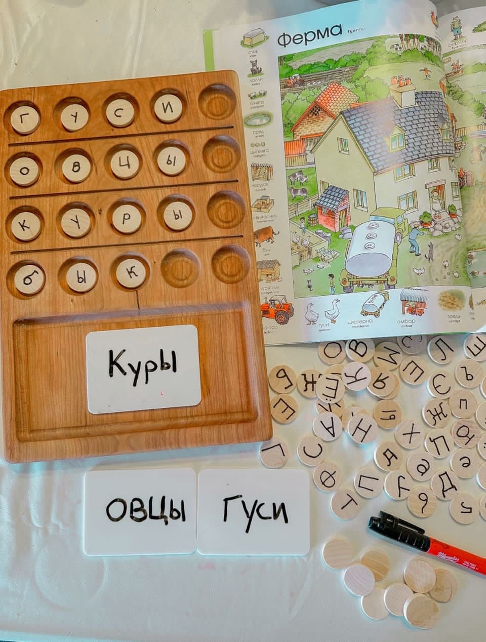 20 Twenty Frame Sensory Tray