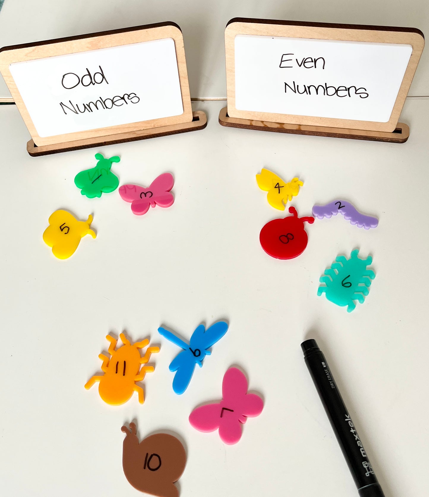 Dry Erase standing signs on a white surface with 'Odd Numbers' and 'Even Numbers' labels.
