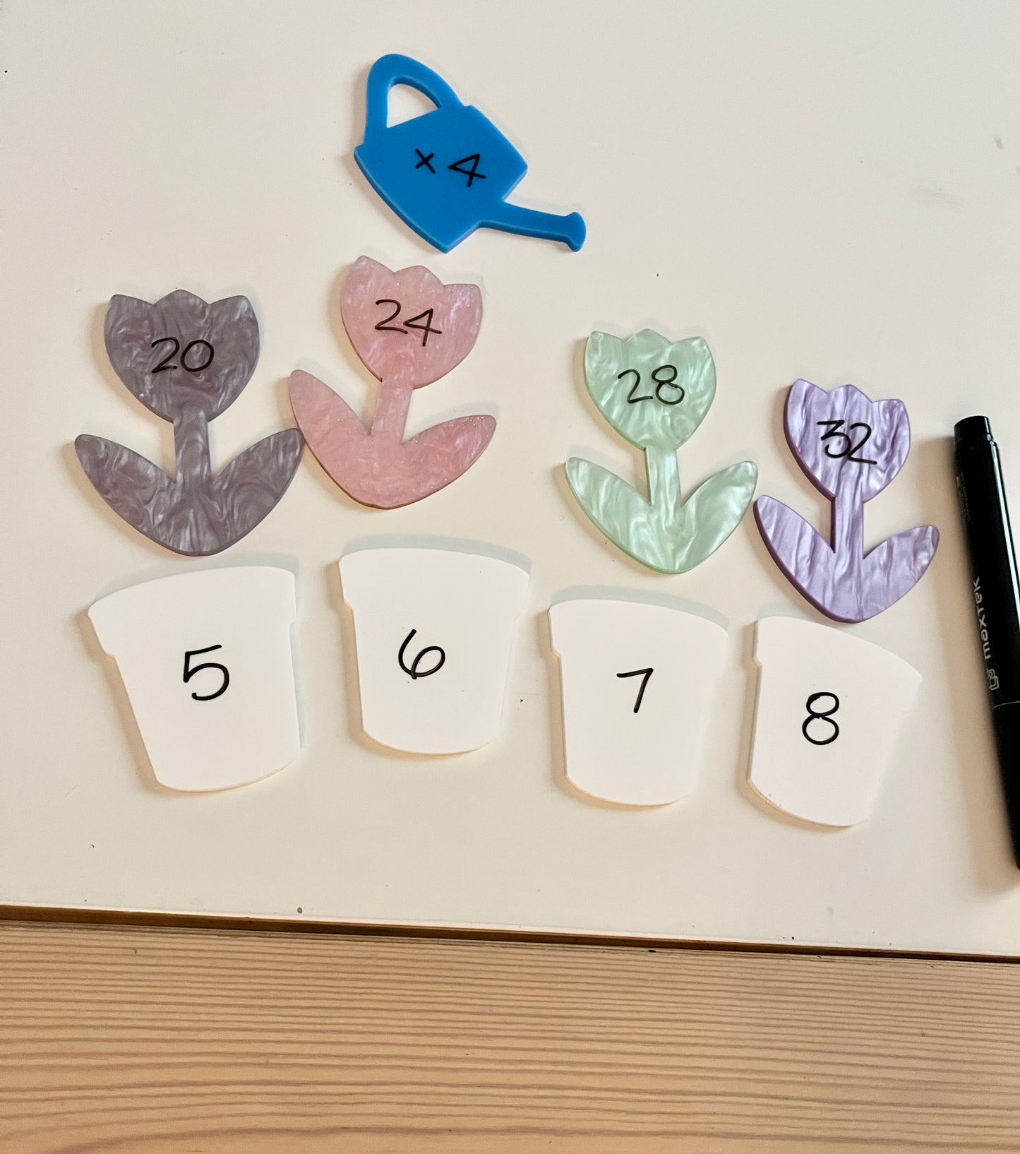 Little Dry Erasables - Marble Flowers with White Pots and Watering Can