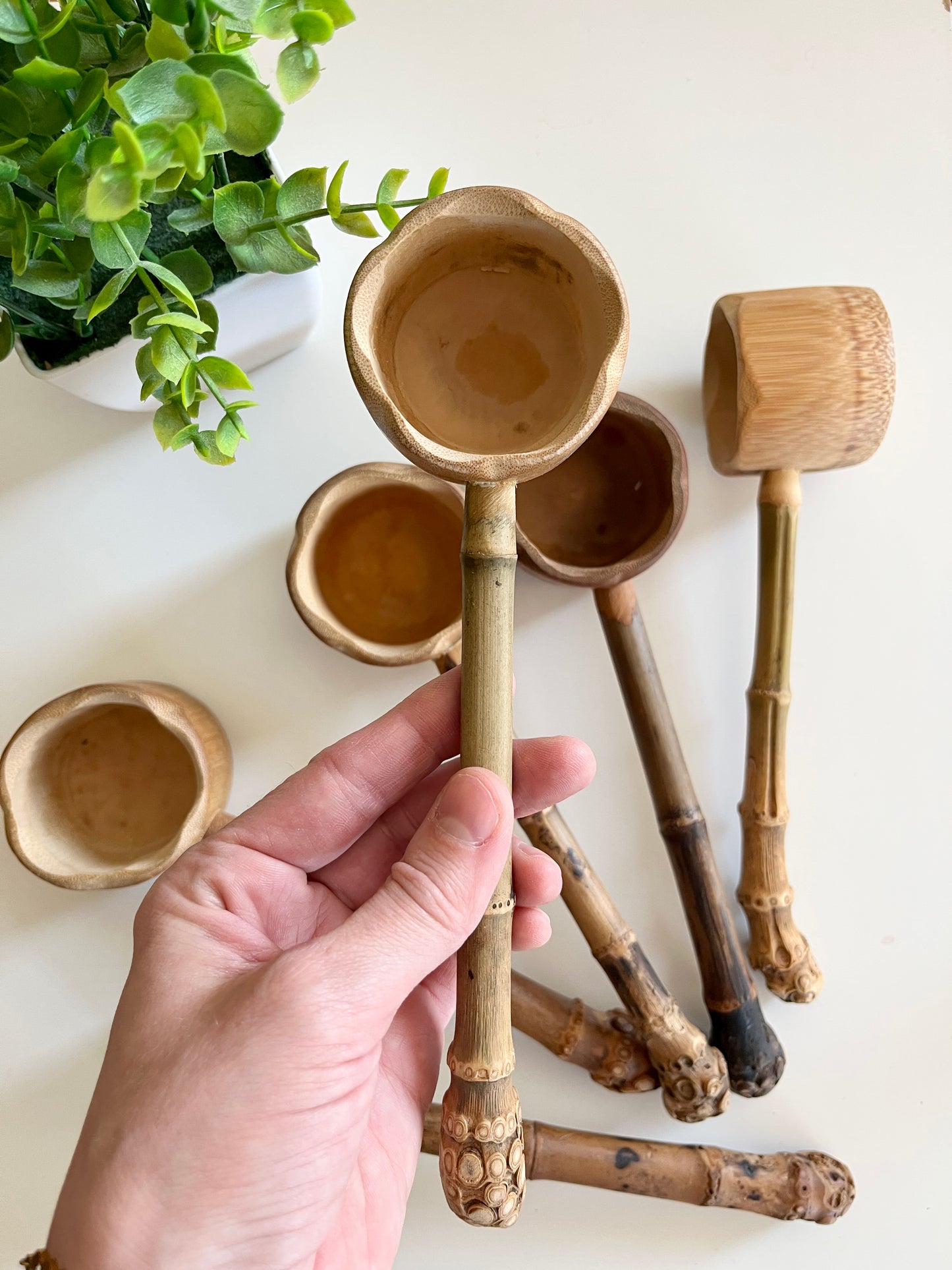 Sensory Scoop / Ladel