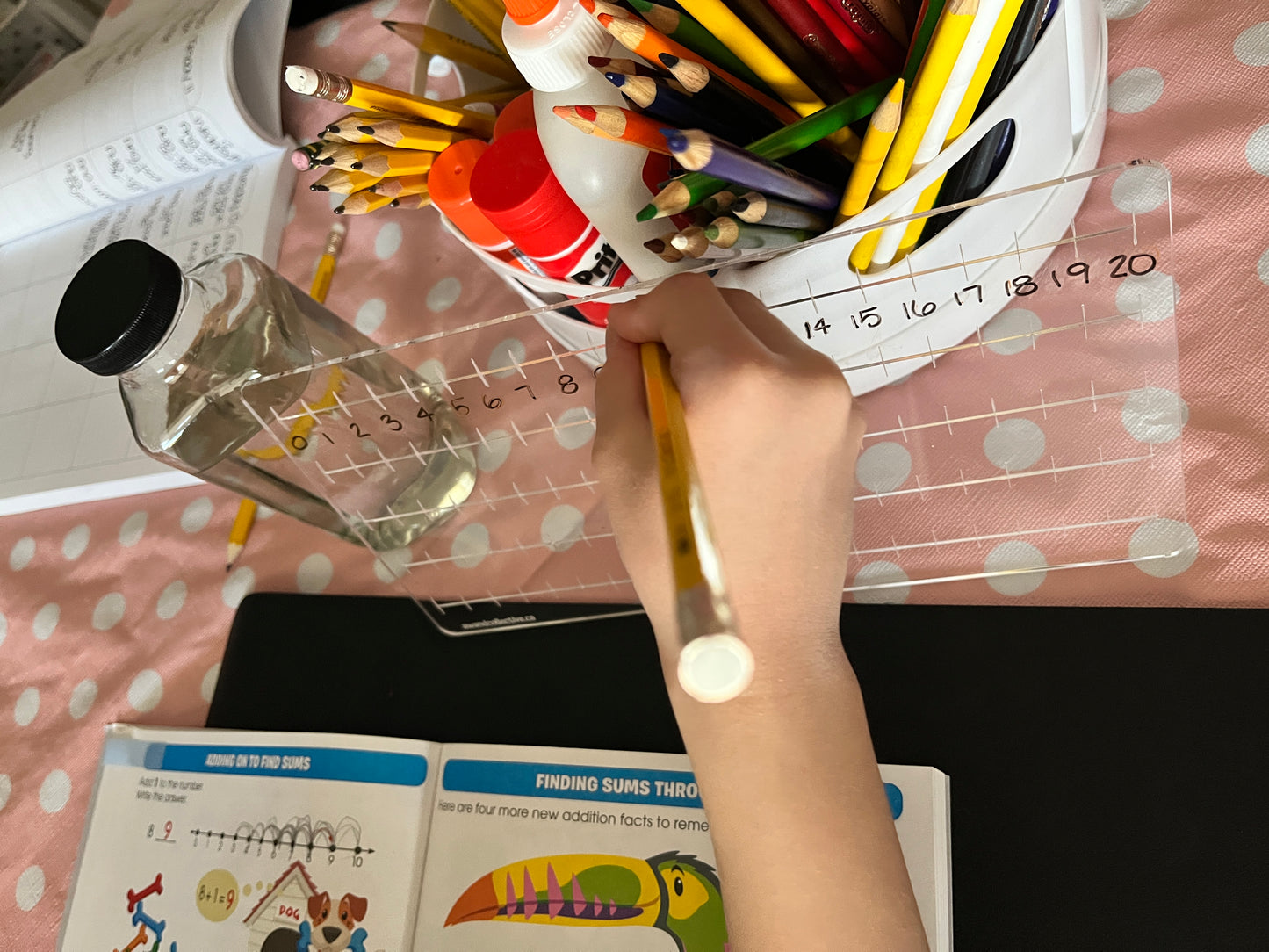 Acrylic Dry Erasable Number 0-100 Line Fits across Large Trofast Bin like a Flisat Insert