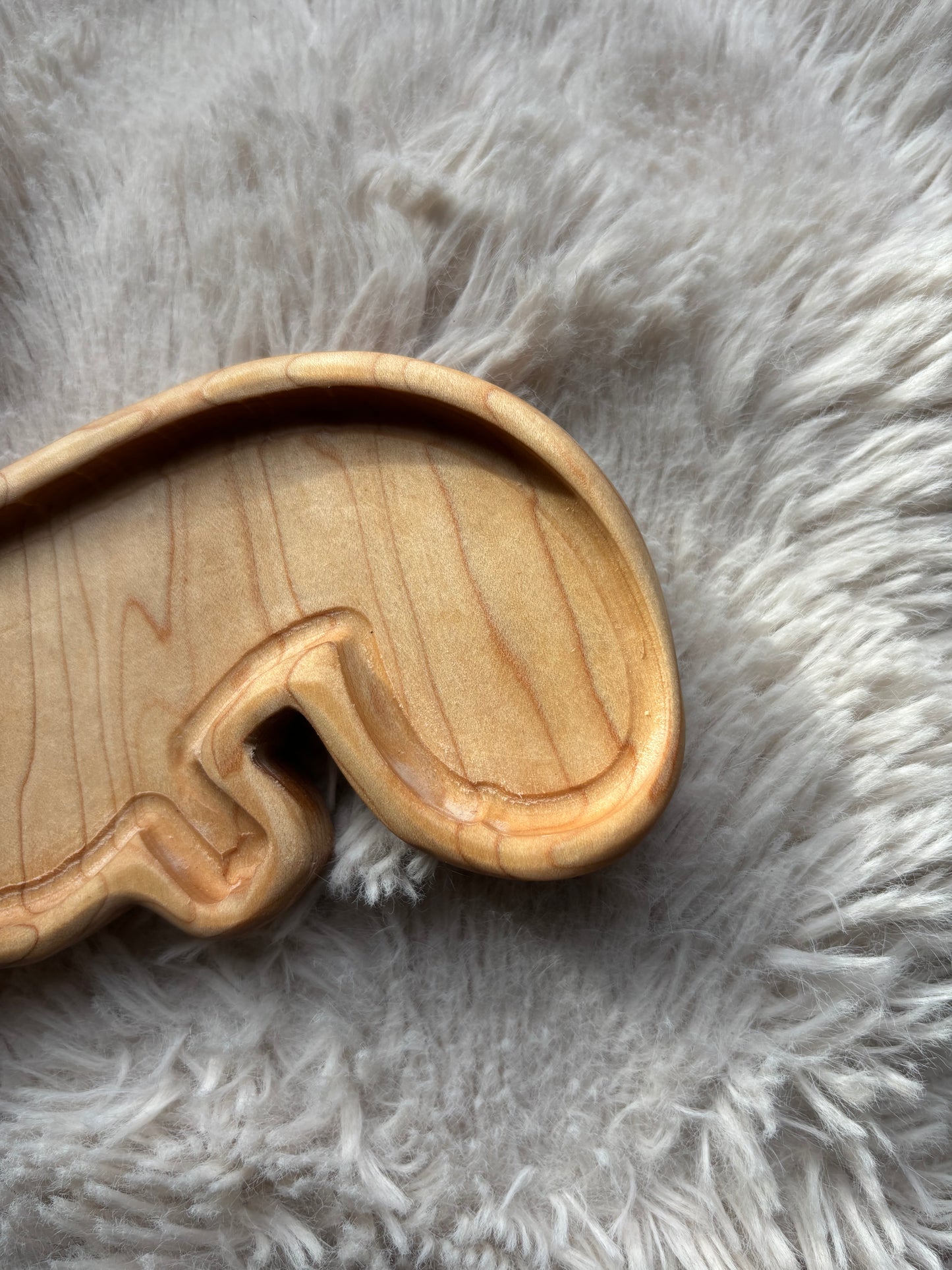 Ready to Ship, Imperfect Trex Tray