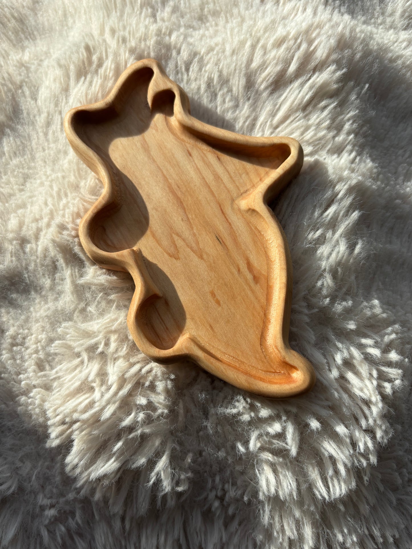 Ready to Ship, Triceratops Tray