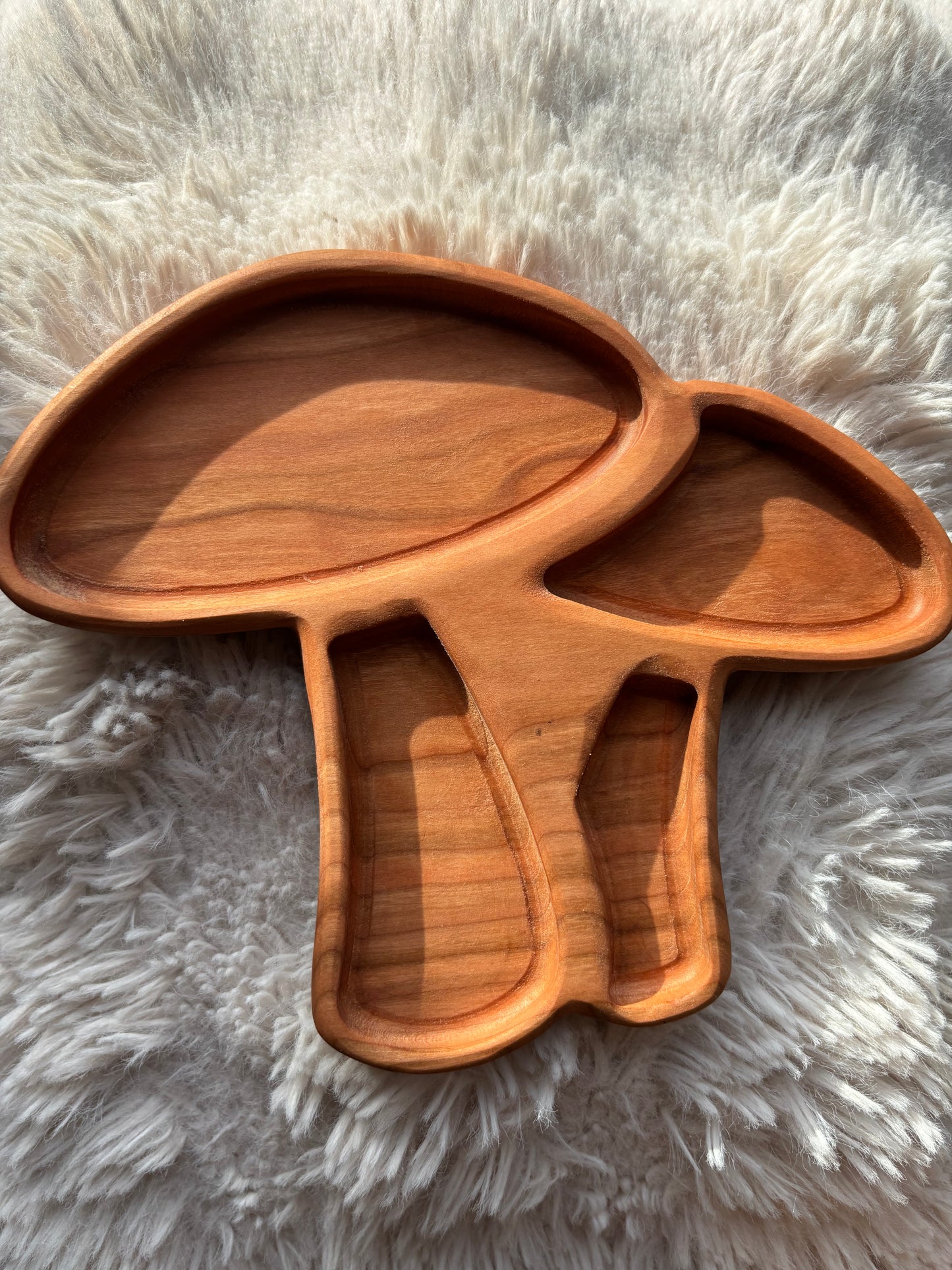 Ready to Ship, Mushroom Tray