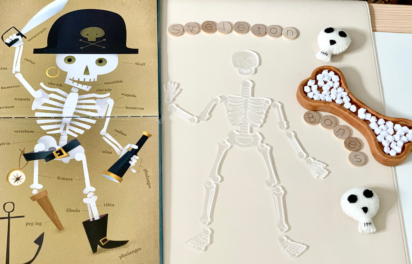 Little Dry Erasables — Build a Skeleton Puzzle / Bones Loose Parts