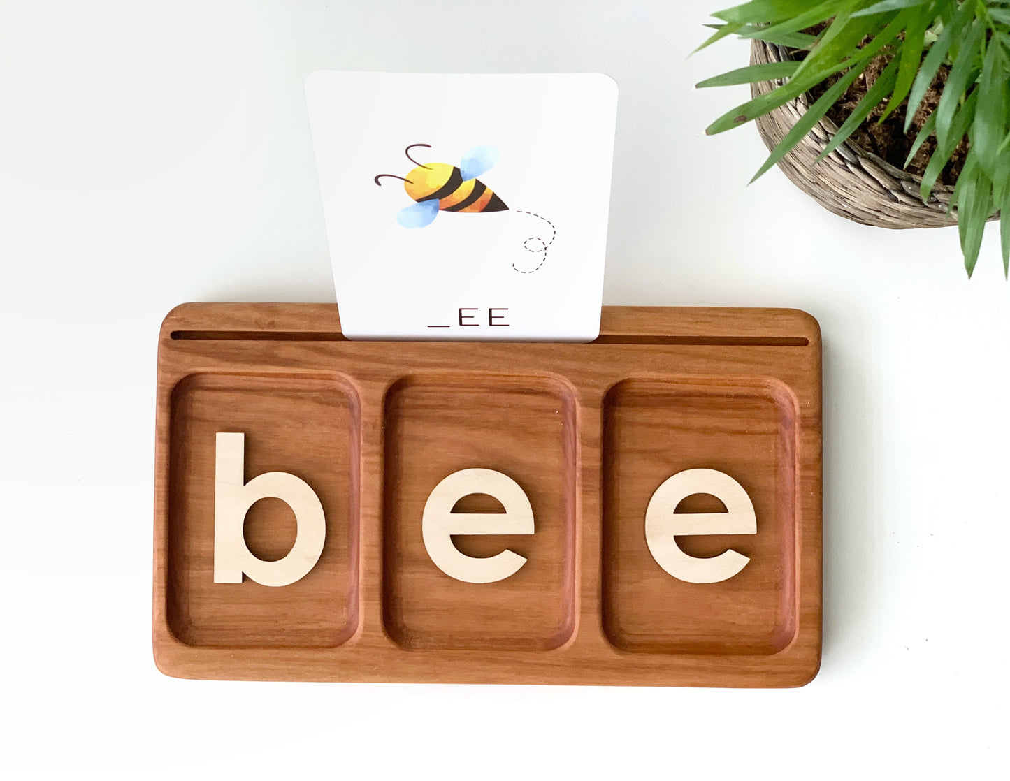 3 Three Section CVC | Read, Create, Write Tray | Salt, Sand & Flash Card Sensory Tray