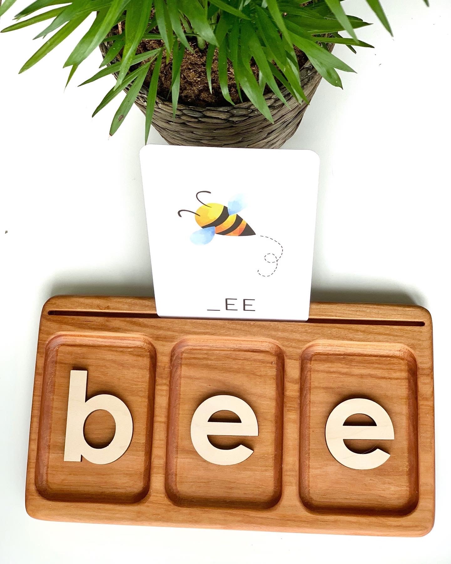 3 Three Section CVC | Read, Create, Write Tray | Salt, Sand & Flash Card Sensory Tray
