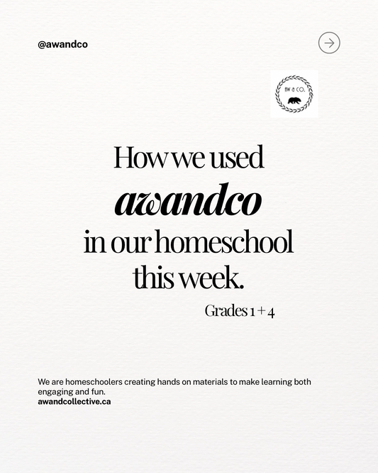 Post 1 - How We Used awandco in our Homeschool this Week