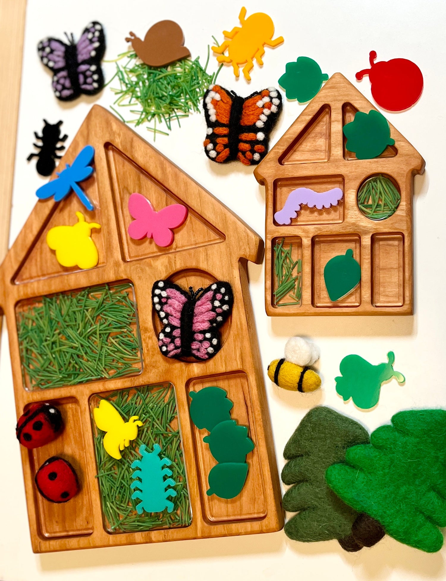 Wood Trays Insects