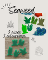 Little Dry Erasables - Seaweed - Set of 5