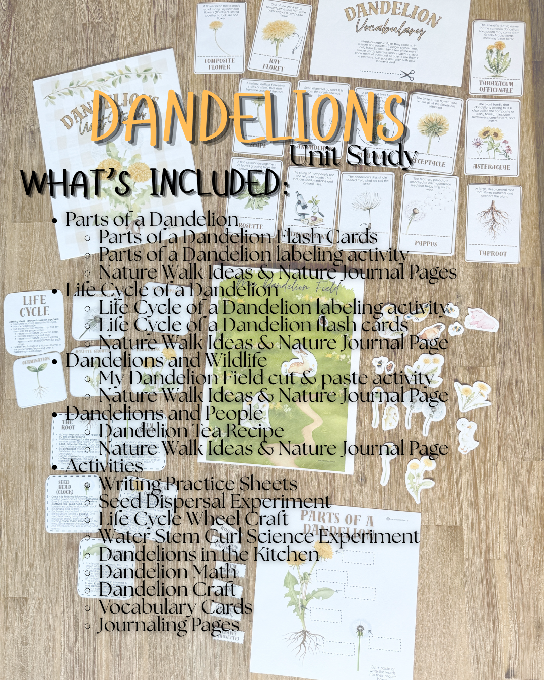 Digital Download | Dandelions Unit Study