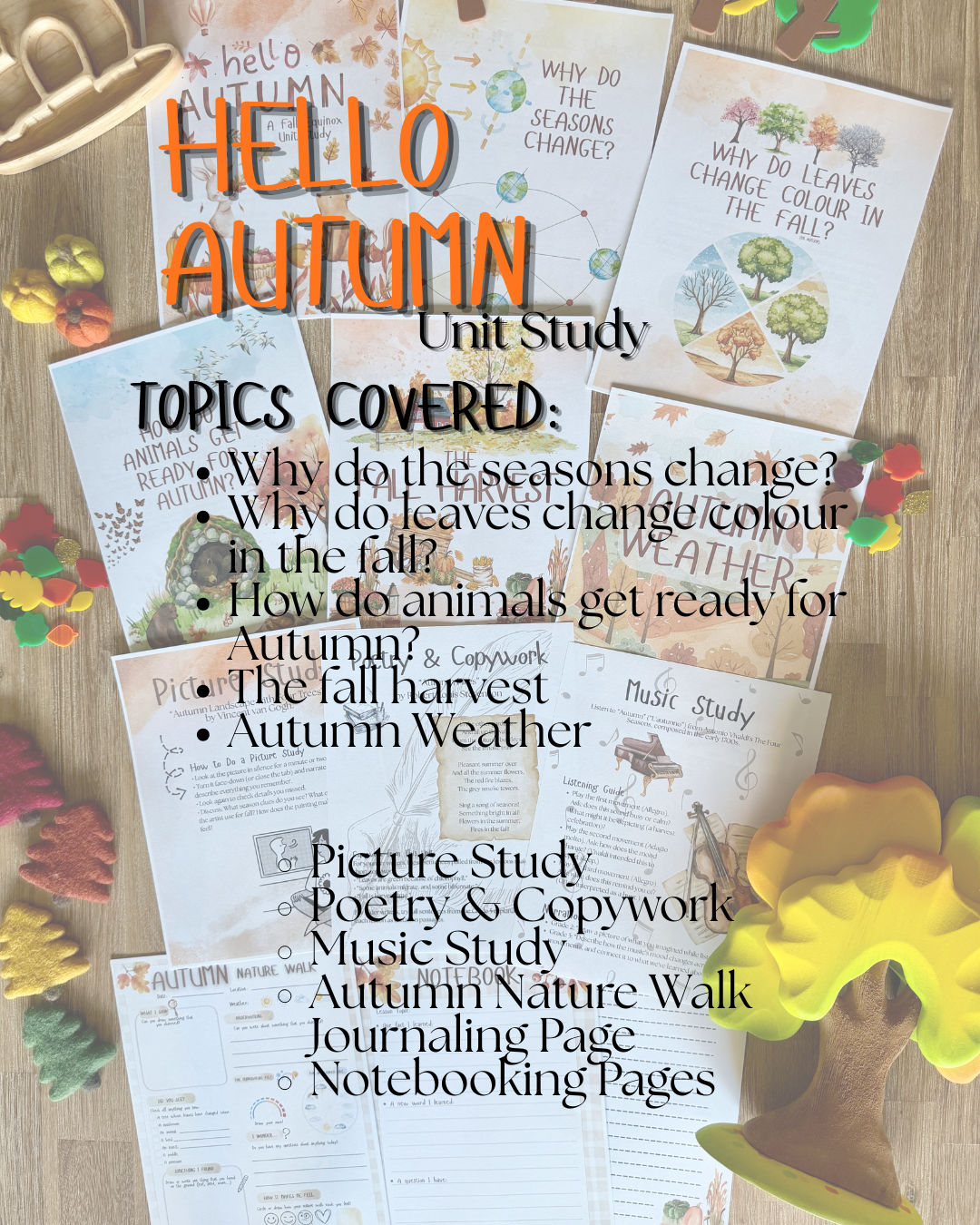 Digital Download | An Autumn Equinox Unit Study | Fall Season Unit Study