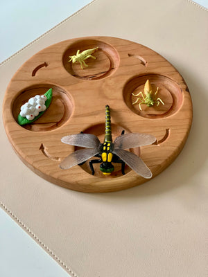 Round wooden board with four compartments holding detailed insect figurines including a dragonfly and a caterpillar on beige surface