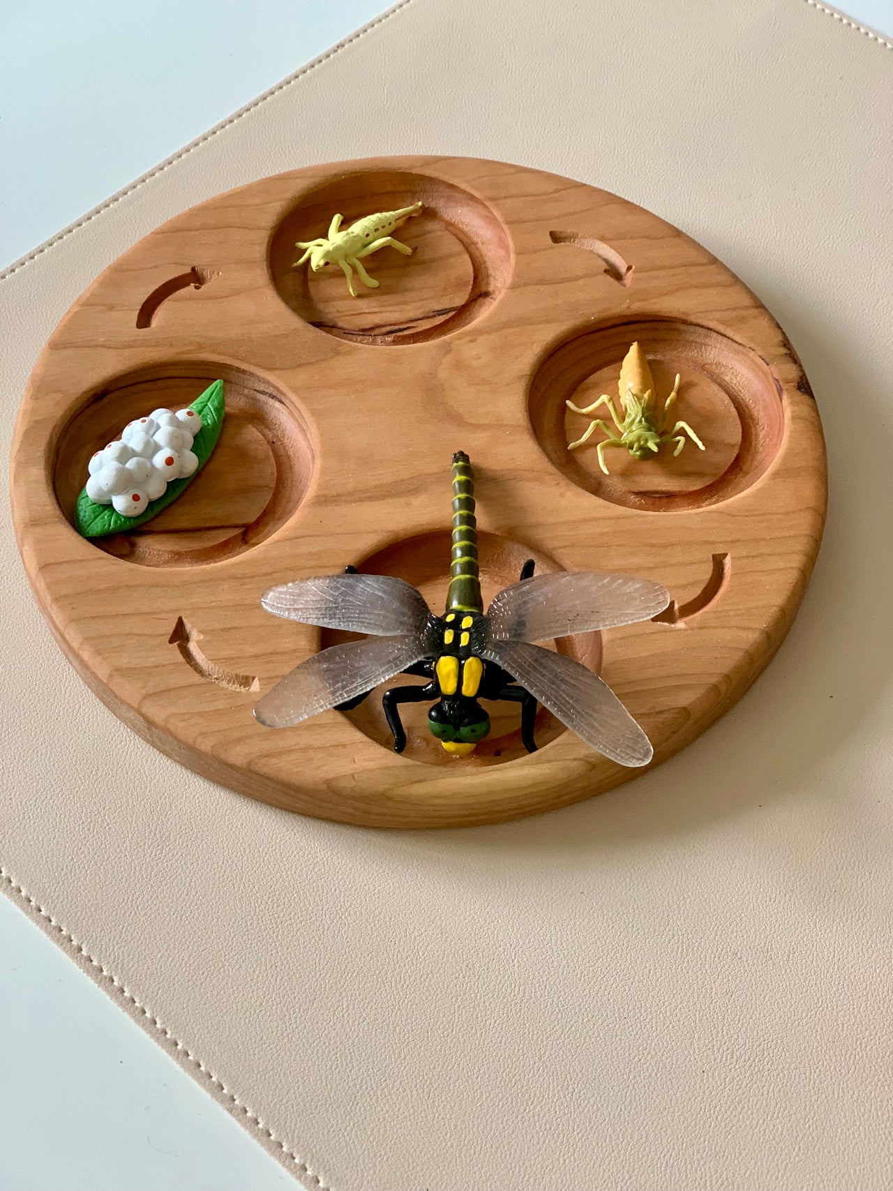 Round wooden board with four compartments holding detailed insect figurines including a dragonfly and a caterpillar on beige surface