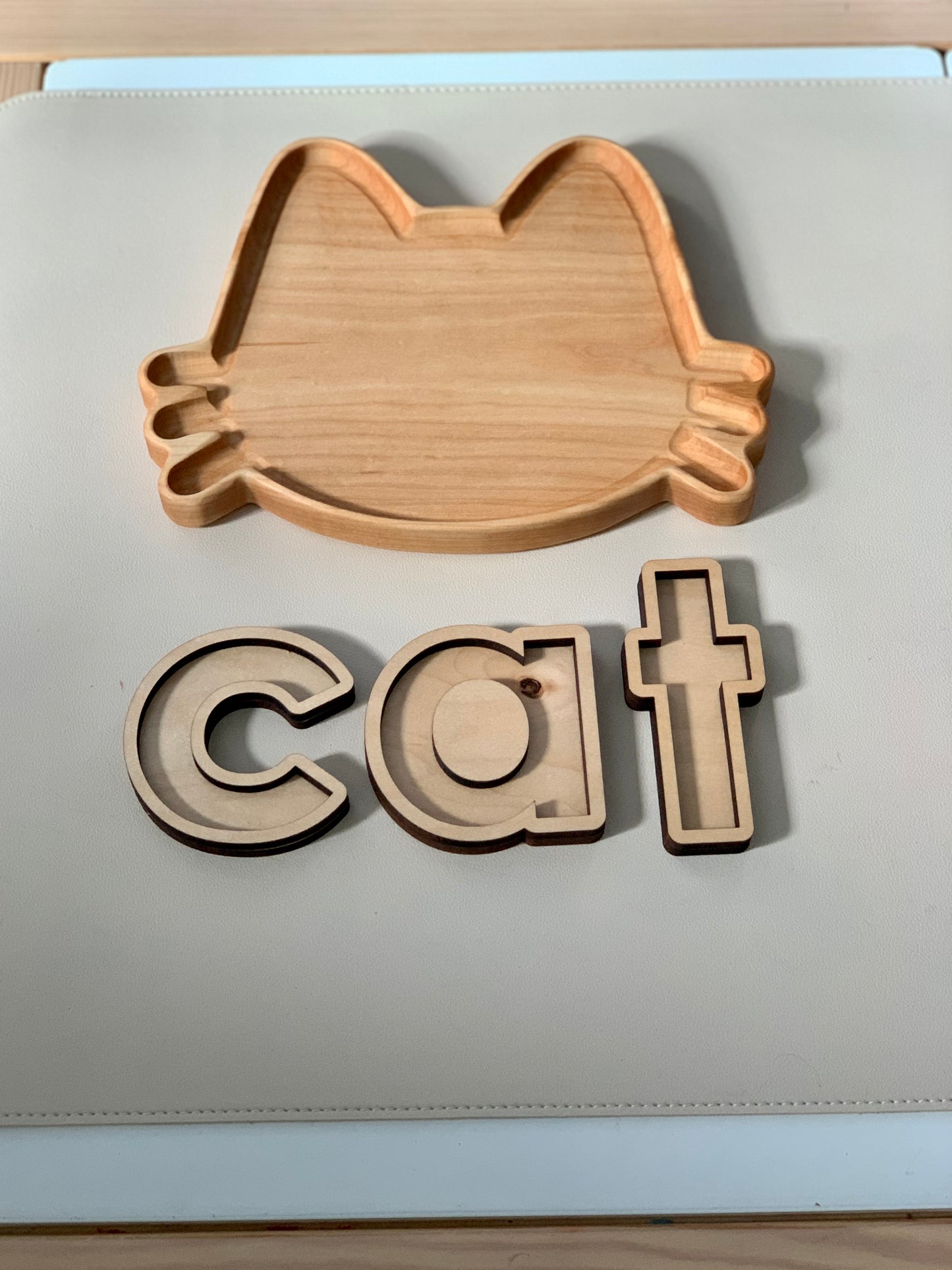 Cat Plate / Sensory Tray