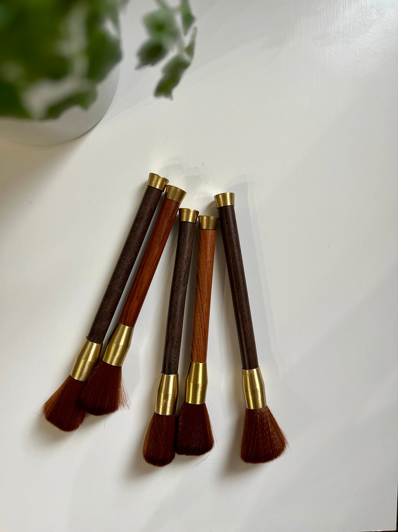Five makeup brushes with dark and light wooden handles and gold ferrules on a white surface near a plant pot