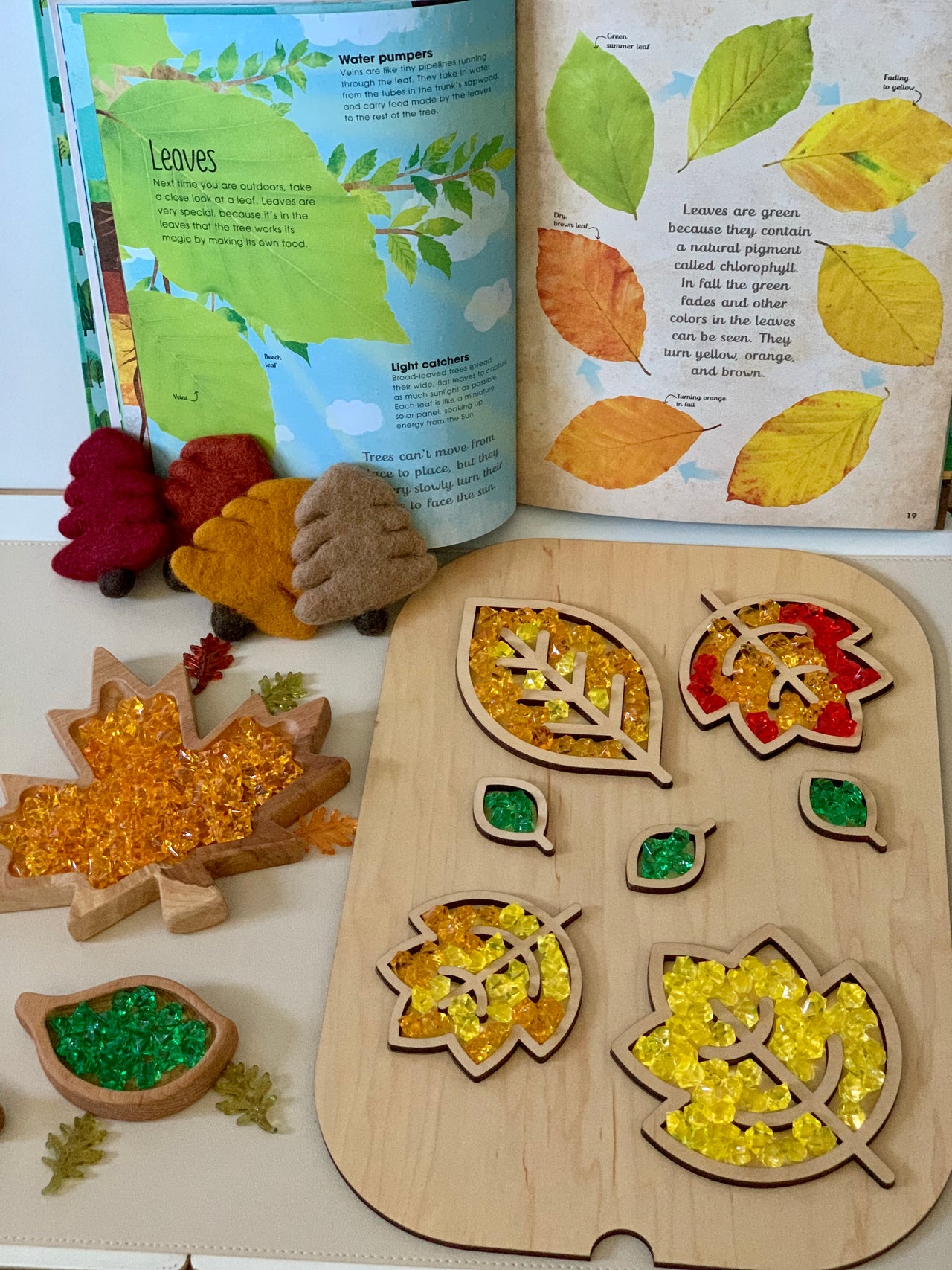 Wooden leaf-shaped sensory tray filled with colorful beads, surrounded by felt leaves and an open book about leaves on table