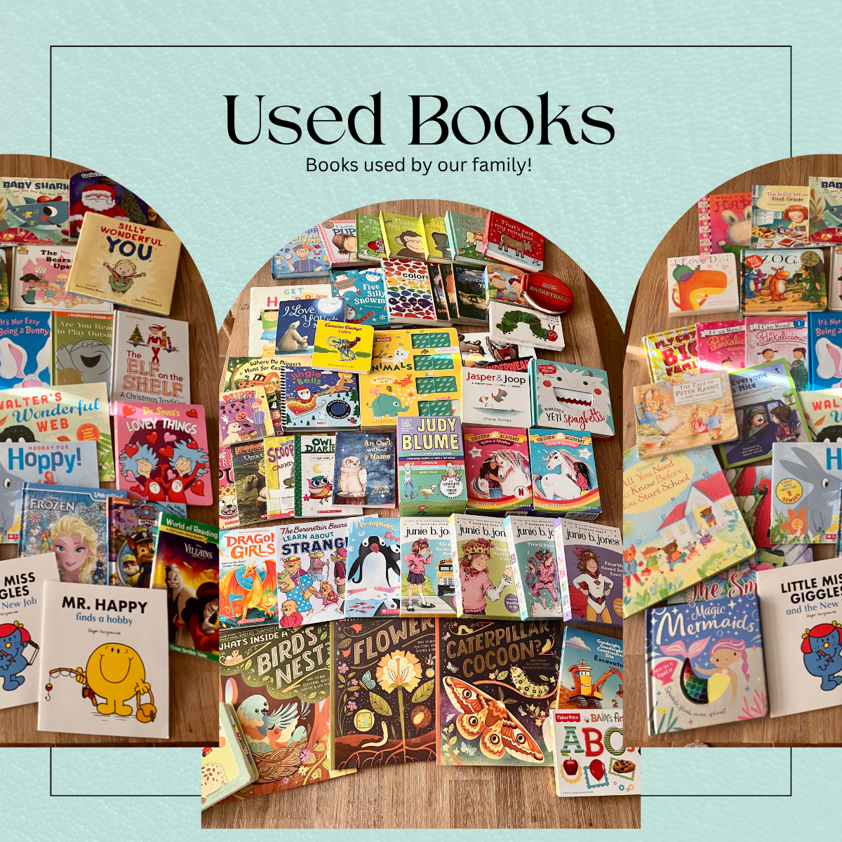 Preloved Used Books