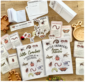 Open activity and review package with illustrated insect and arachnid flash cards, handmade wooden insect-shaped trays, and educational printables for the Digital Download or Print & Bound | Little Crawlers Unit Study, Activity/Review Package & Flash Cards, handcrafted homeschool education resources.