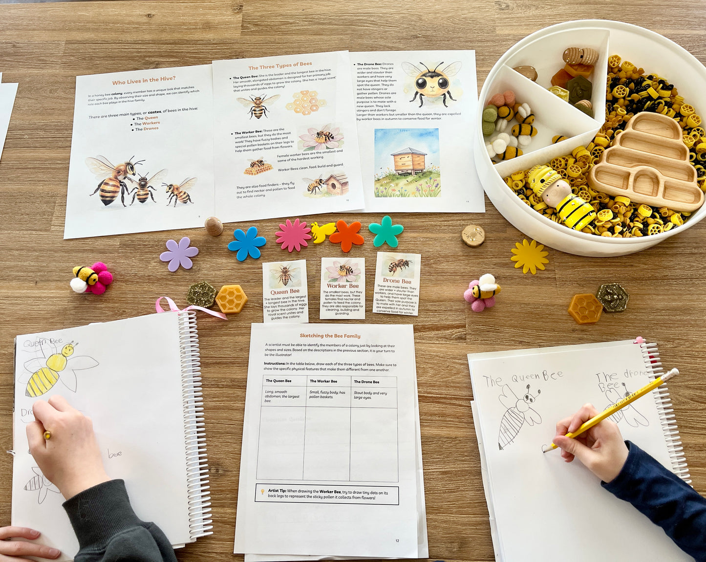 Digital Download | Bees Unit Study