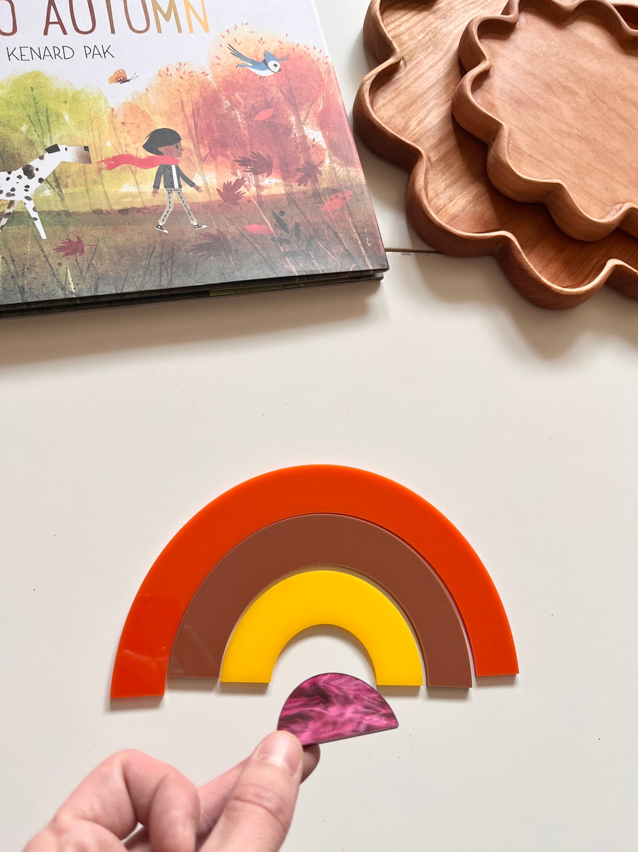 Little Dry Erasables - Autumn Rainbow