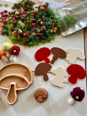 Assorted wooden and felt mushroom shapes with colorful pasta, green decorative moss, and a wooden mushroom tray on white surface