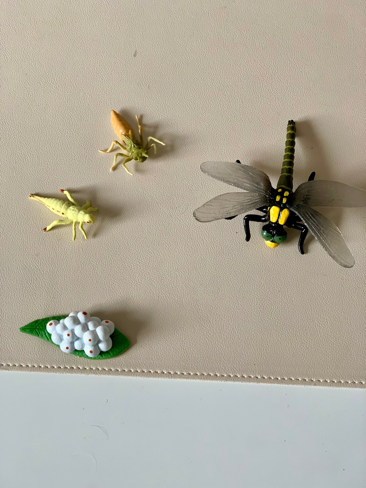 Small realistic insect figurines including a dragonfly, two nymphs, and a green leaf with white cottony eggs on beige surface