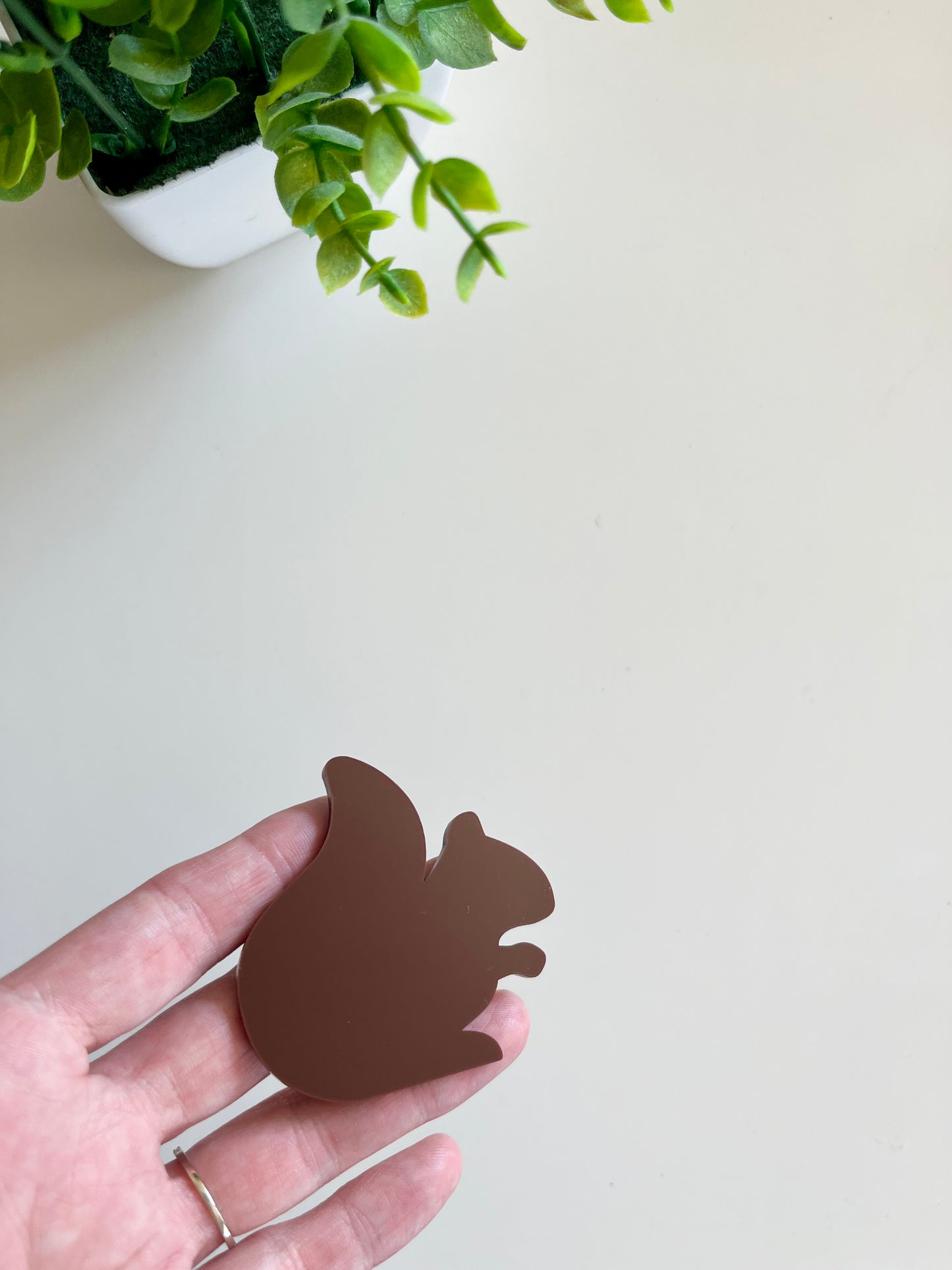 Little Dry Erasables - Squirrels Set of 6