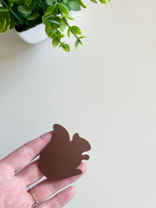 Little Dry Erasables - Squirrels Set of 6
