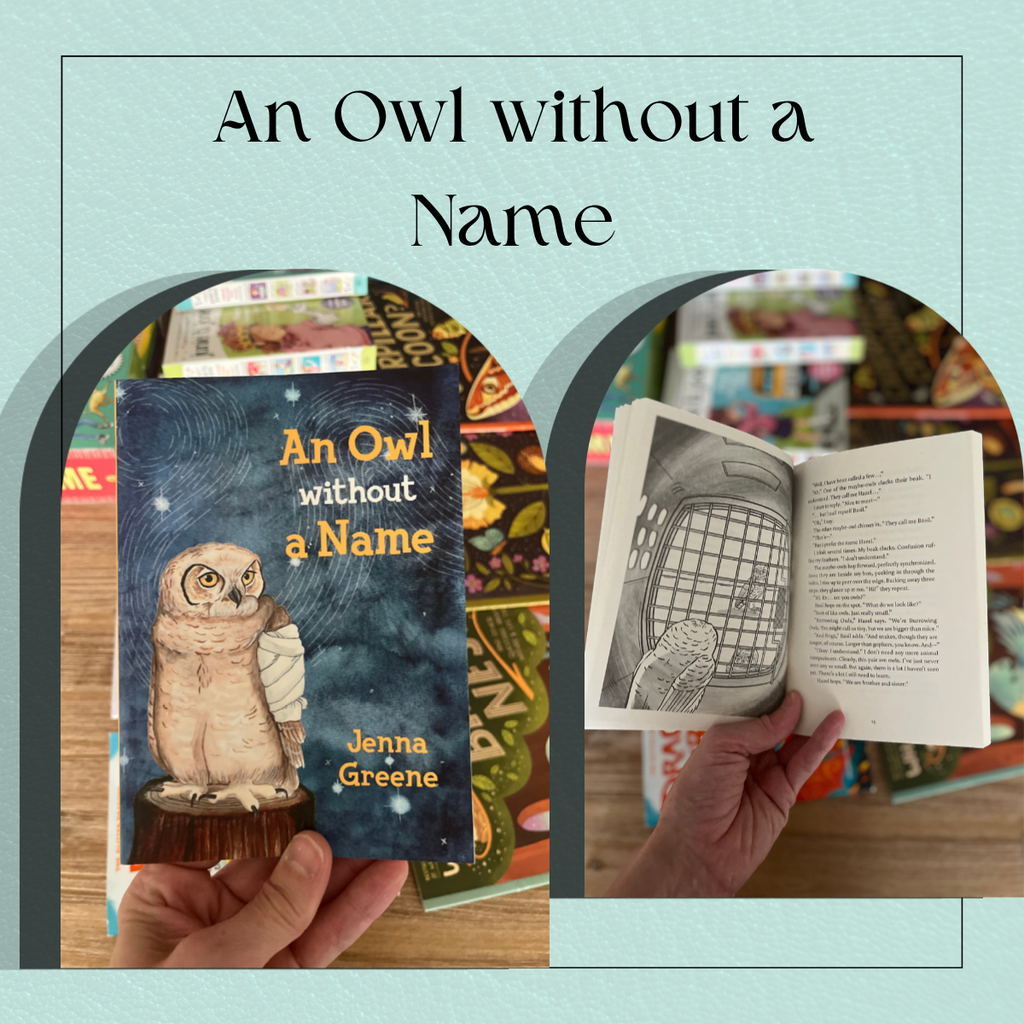 Preloved Used Books
