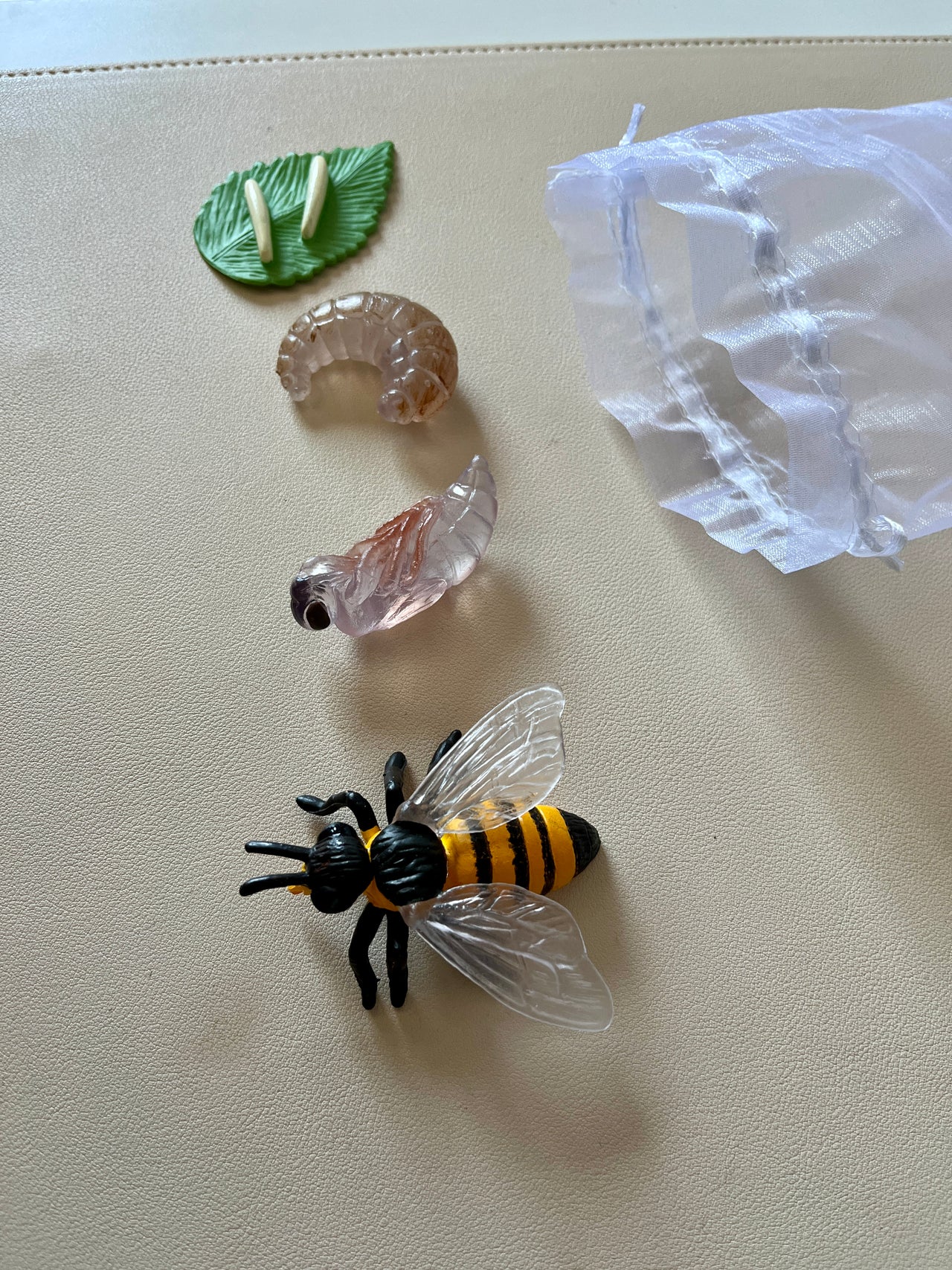 Set of plastic insect life cycle models showing leaf, larva, pupa, and bee with white drawstring bag on beige surface