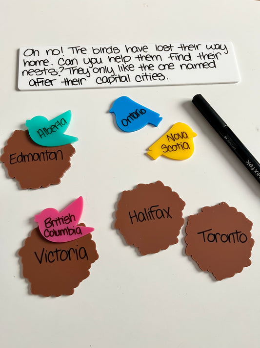 Little Dry Erasables - Birds & Nests