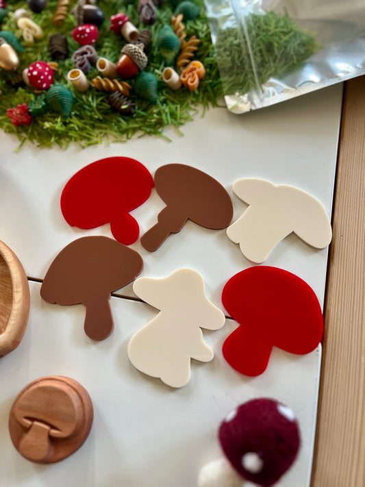 Little Dry Erasables - Mushrooms Style 2 - Set of 6 - more colours available