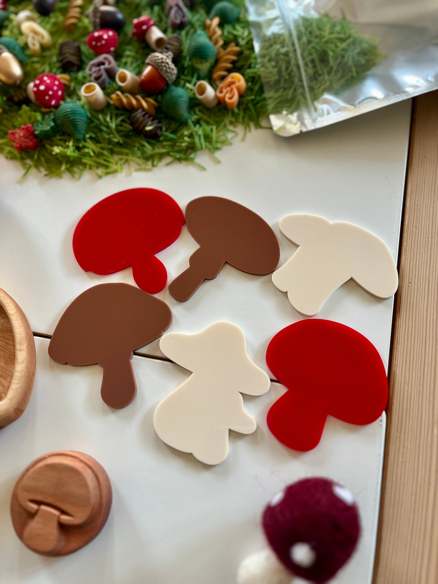 Little Dry Erasables - Mushrooms Style 2 - Set of 6 - more colours available