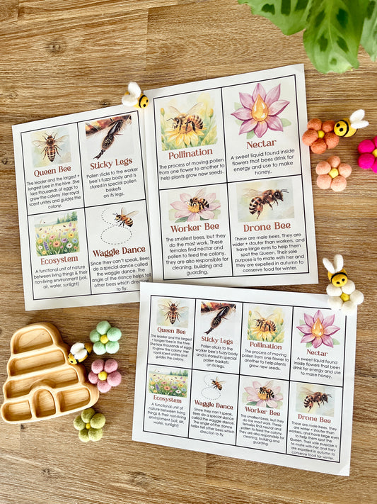 Digital Download | Bee Informational Flash Cards | Comes With 2 Sizes