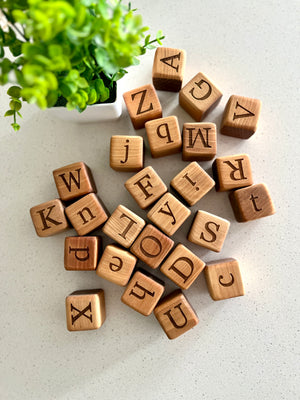Scattered wooden blocks with uppercase and lowercase letters next to a small potted green plant on a white surface