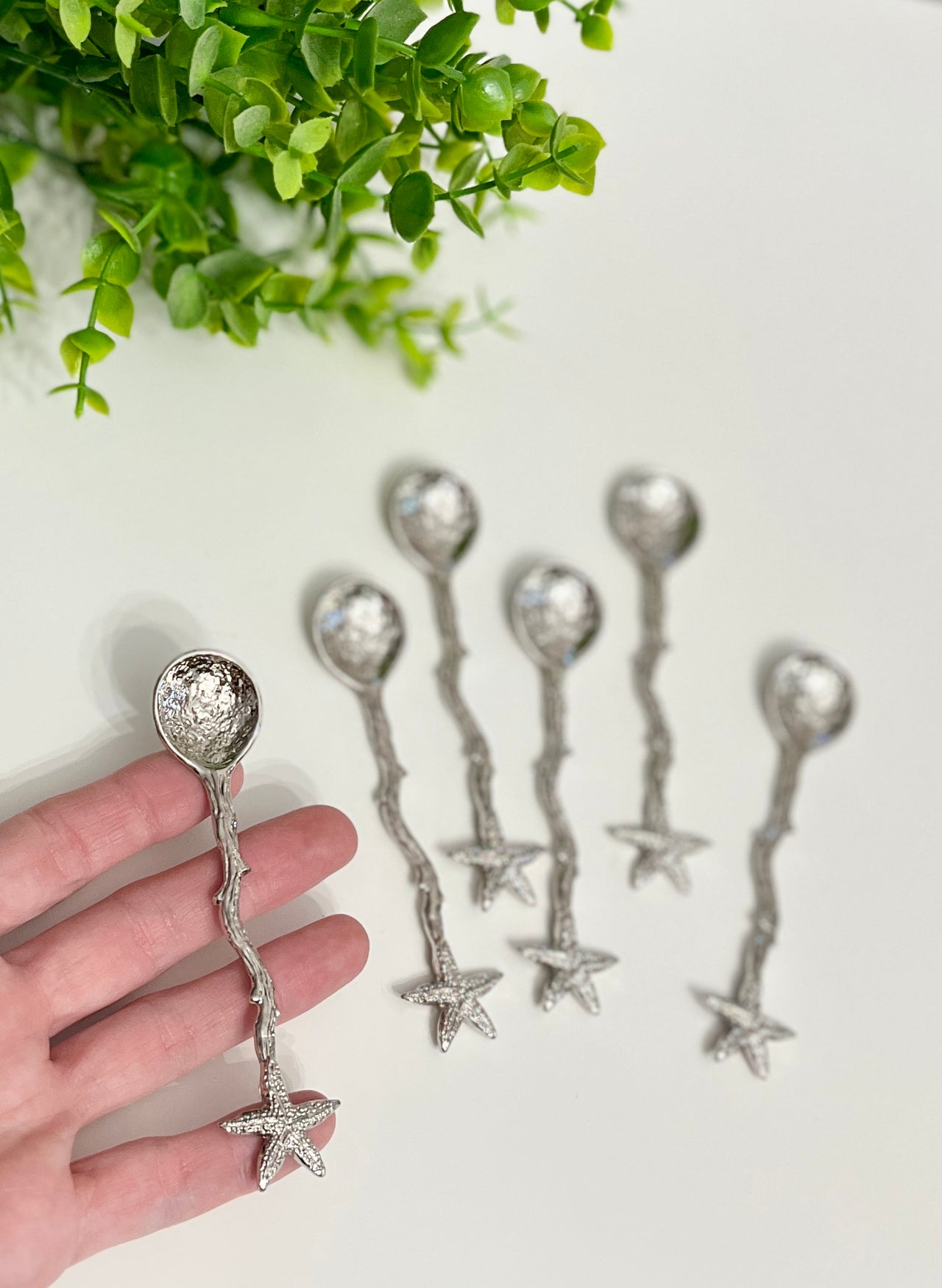 Hand holding a silver spoon with starfish handle and textured bowl, five similar spoons arranged on white surface near green leaves