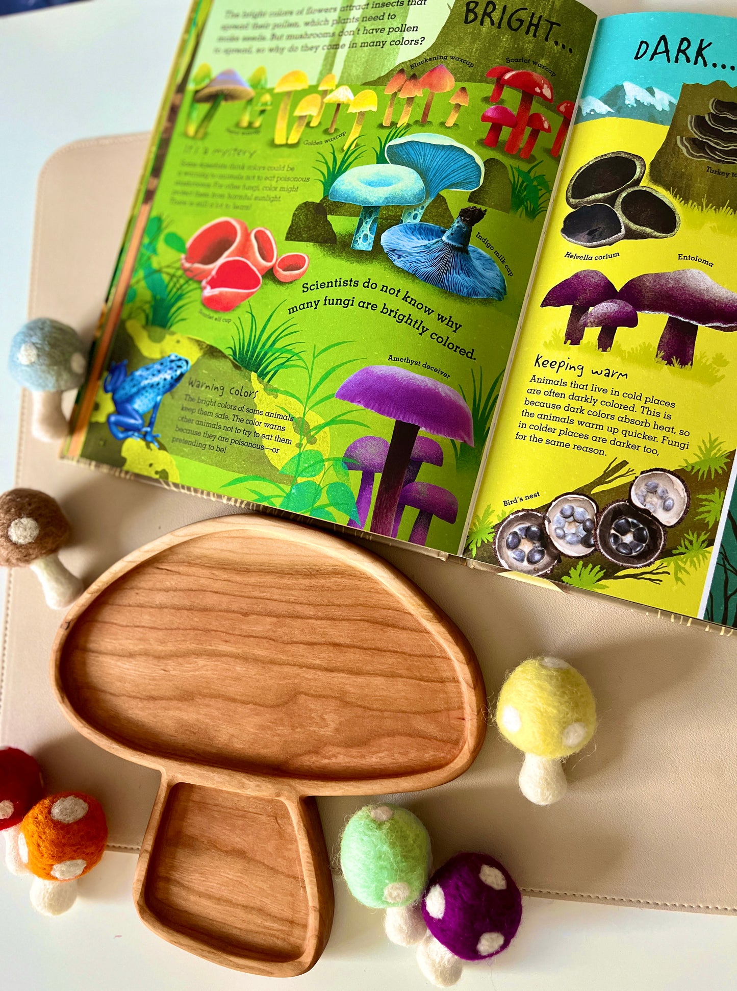 Mushroom Plate Larger Size / Sensory Tray