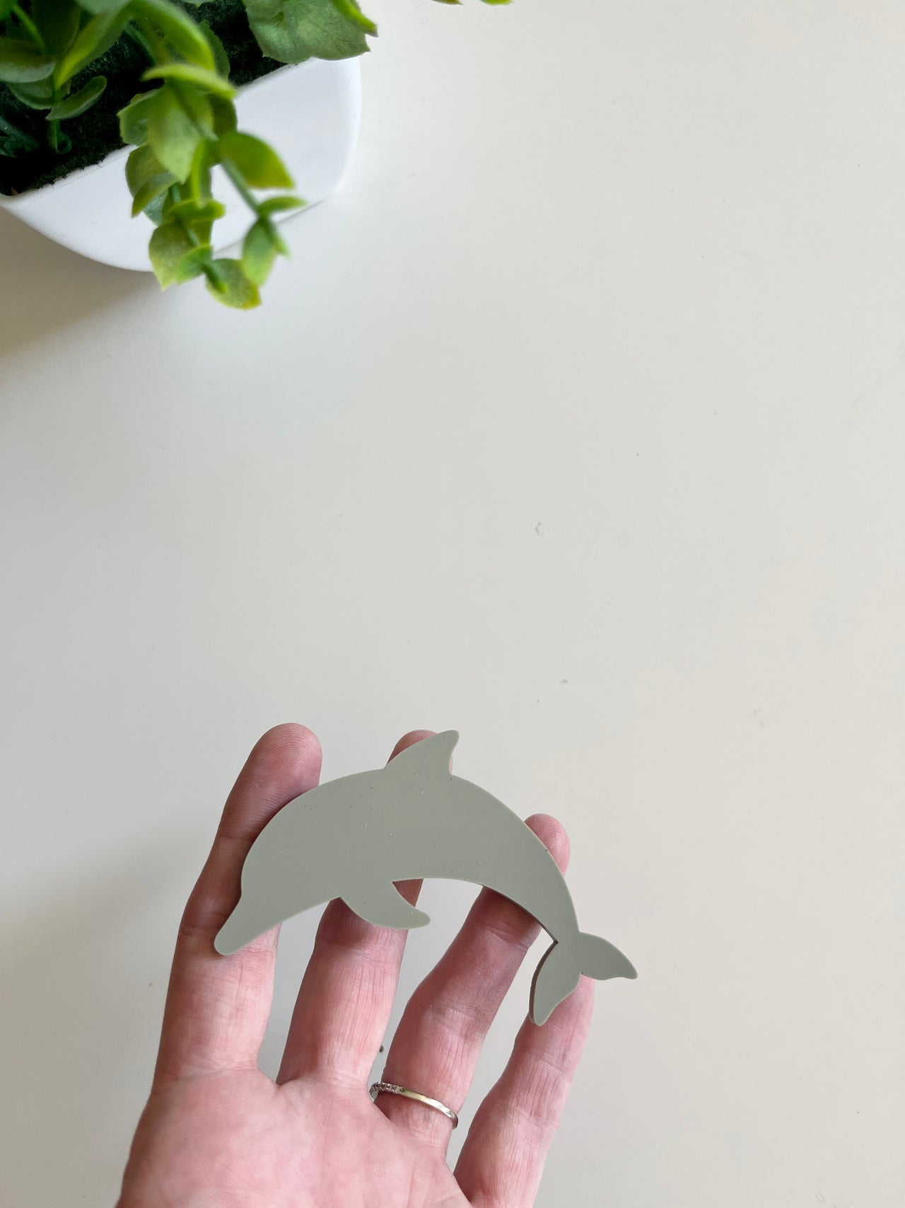 Hand holding a smooth gray dolphin-shaped cutout with a green leafy plant in a white pot nearby