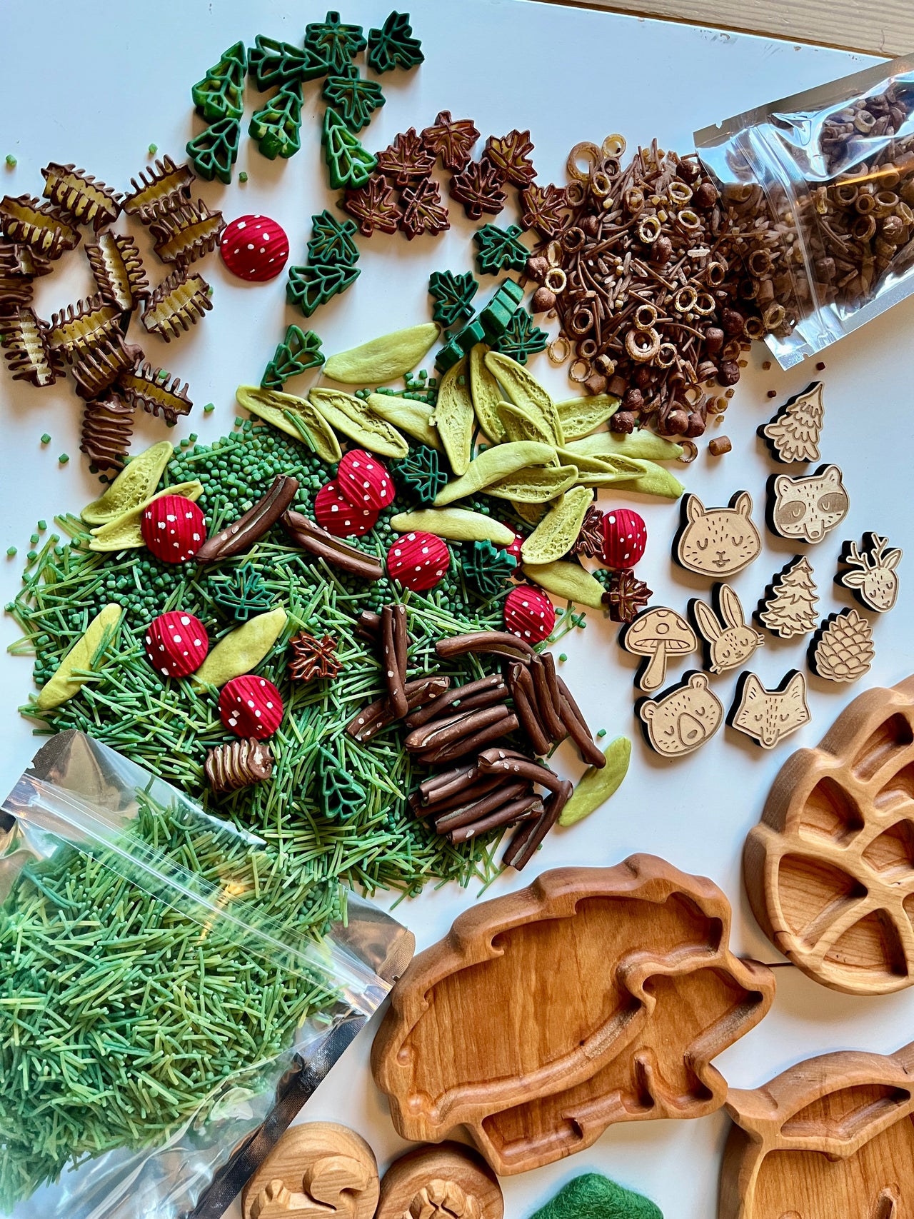 Natural sensory play materials including green dried botanicals, red spotted mushrooms, wooden animal shapes, and carved wooden trays