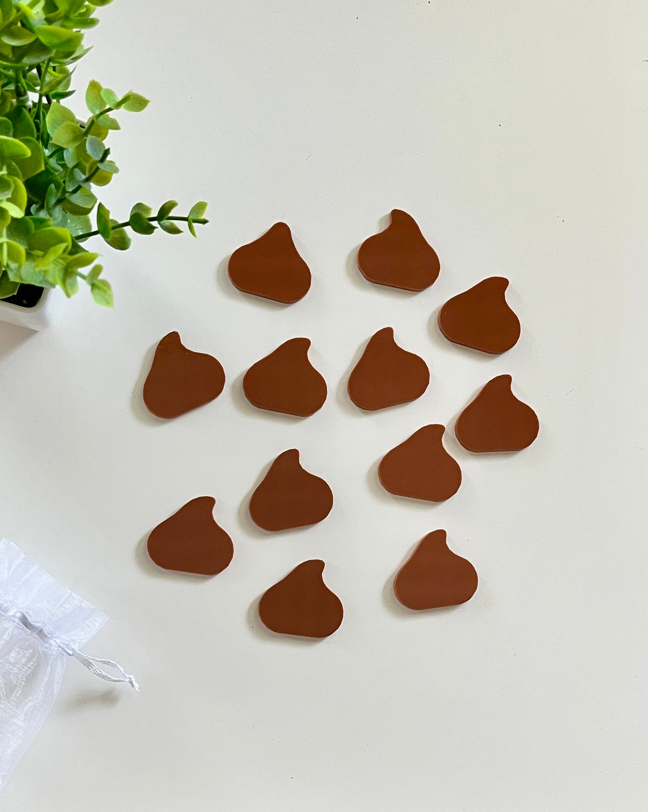 Thirteen small brown abstract-shaped pieces scattered on a white surface beside a green plant and white cloth bag