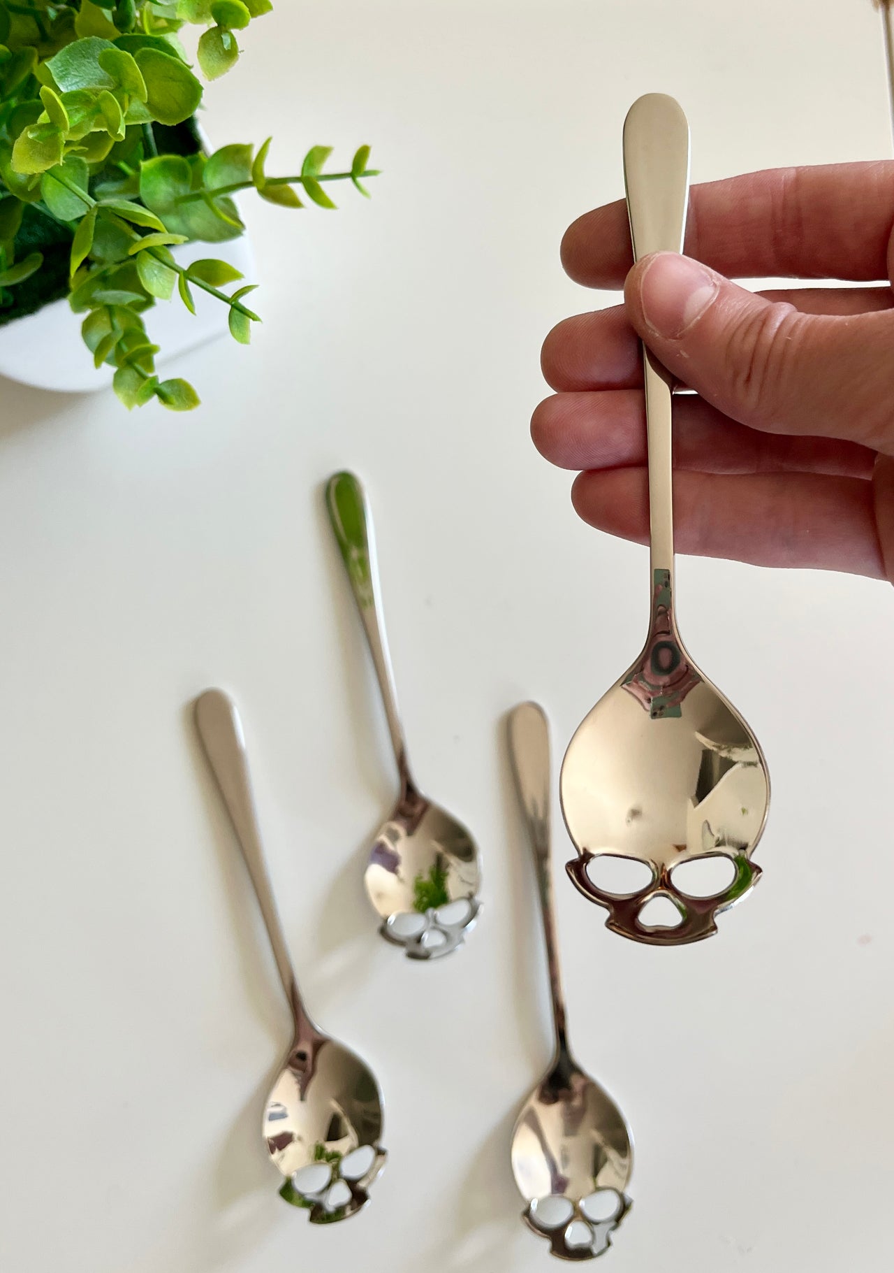 Hand holding a polished silver spoon with skull cutouts at the bowl, three similar spoons and a green plant on white surface
