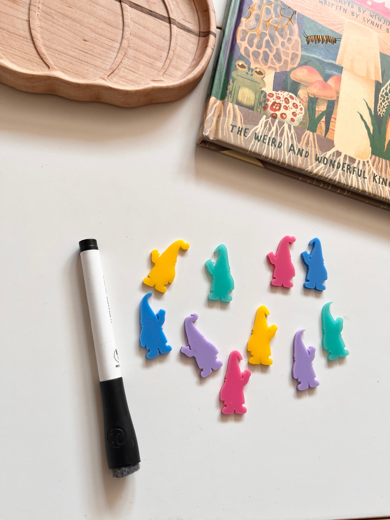 Little Dry Erasables - Mini Gnomes (10)