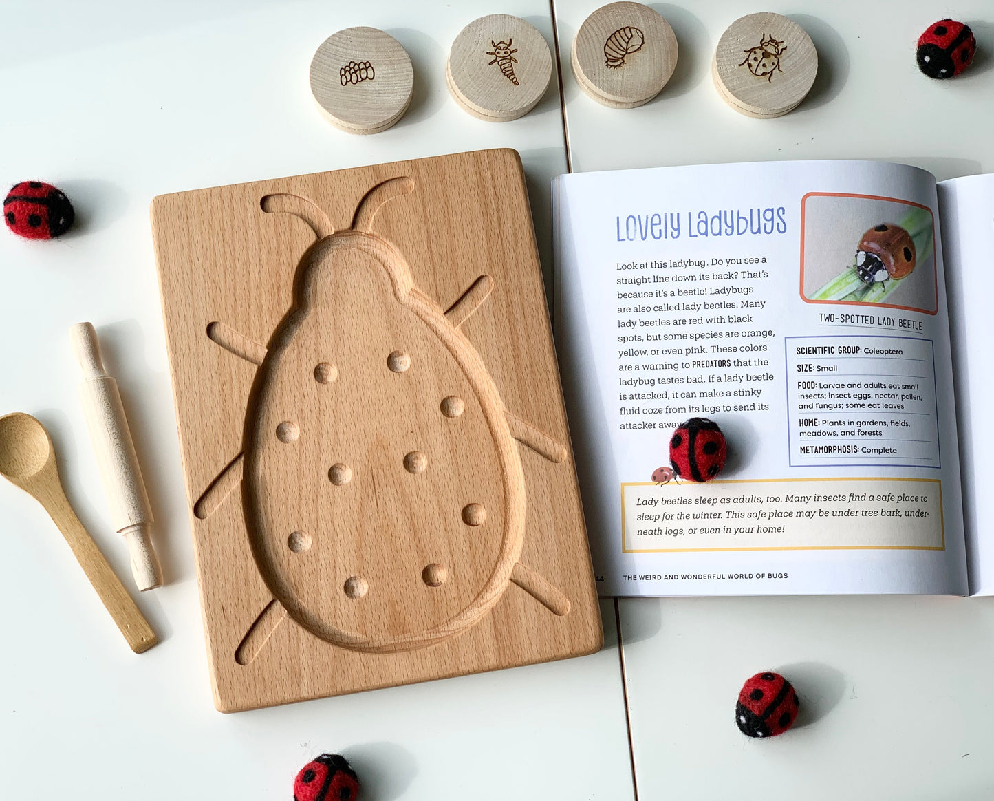 Ready to Ship, Ladybug Tray, Discontinued Wood Type