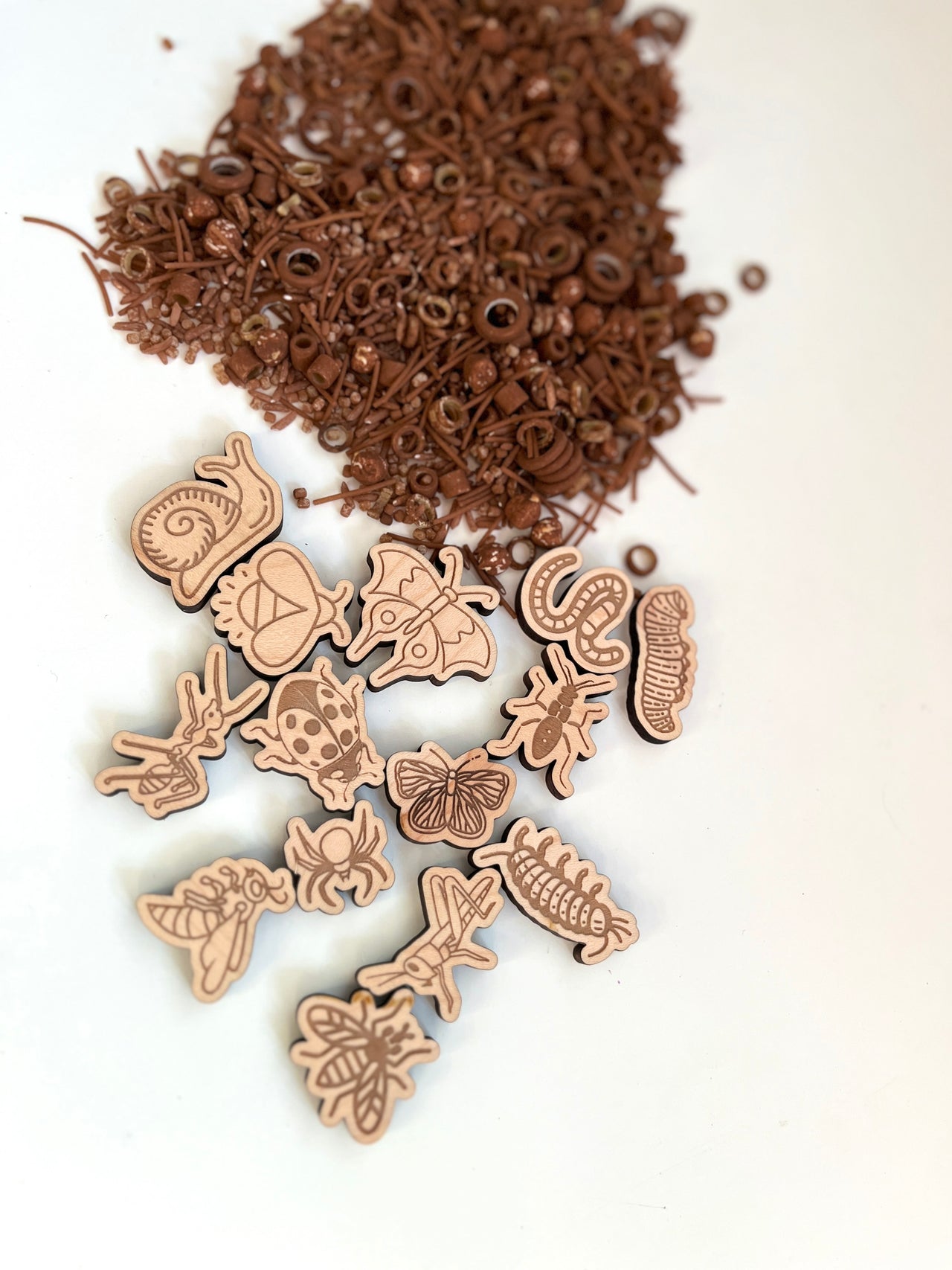 Wooden insect and bug cutouts with engraved details scattered near small brown plastic beads and rings on white surface