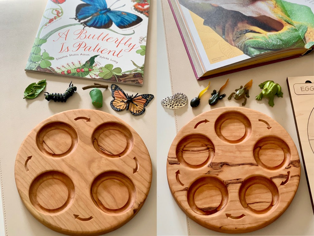 Life Cycle Sensory Trays 4 or 5 Part