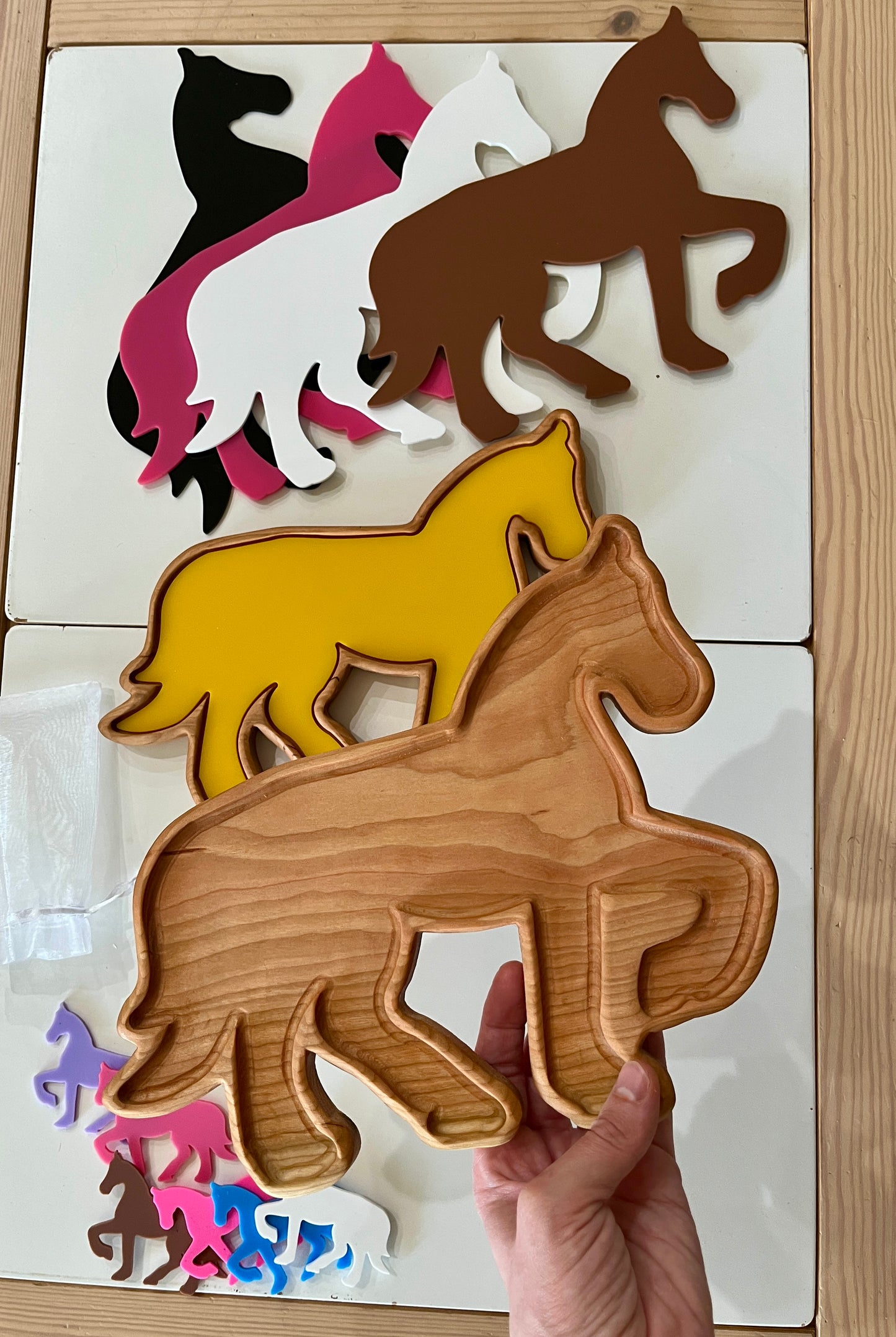 Large Horse Plate / Sensory Tray